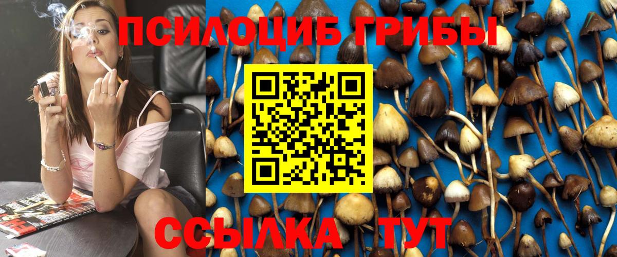Псилоцибиновые грибы MAGIC MUSHROOMS  Вход с VPN  Камышлов 